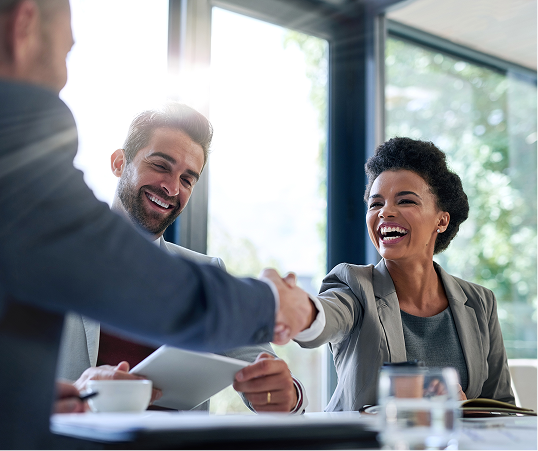 Meeting shanking hands